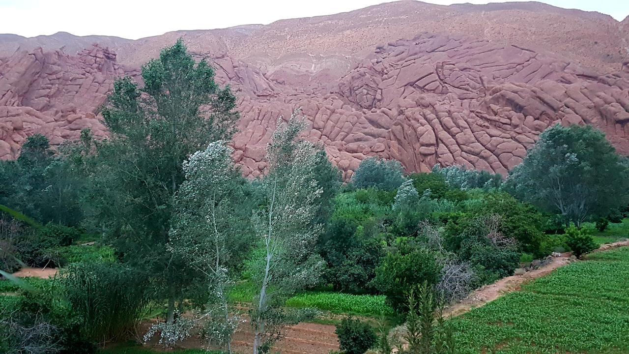 Auberge Kasbah Ait Marghad Tamellalt  ภายนอก รูปภาพ