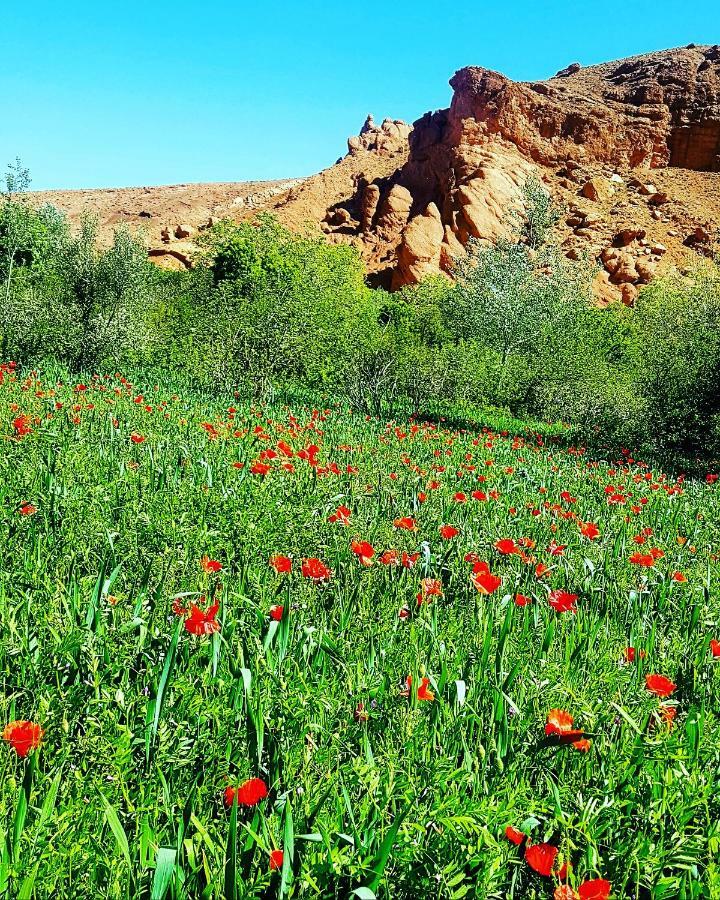 Auberge Kasbah Ait Marghad Tamellalt  ภายนอก รูปภาพ